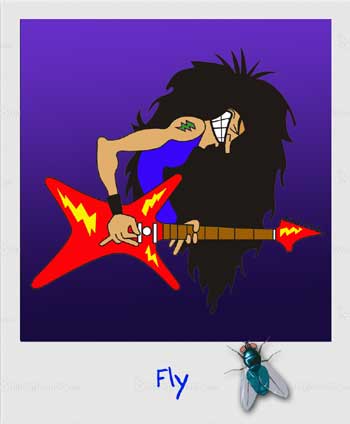 Image of Fly and the Maggots